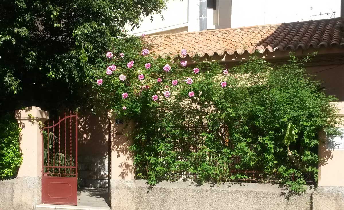 Contacta con Corendins